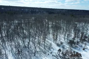 3008 E Upper Field Trail, Newaygo, MI 49337 - Photo 147