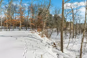 3008 E Upper Field Trail, Newaygo, MI 49337 - Photo 85