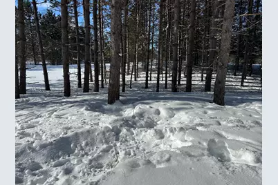 00 E 24 Road, Cadillac, MI 49601 - Photo 11