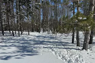 00 E 24 Rd, Cadillac, MI 49601 - Photo 1