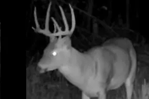 1440 Dimmers Rd, Reading, MI 49274 - Photo 45