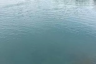 1440 Dimmers Rd, Reading, MI 49274 - Photo 49