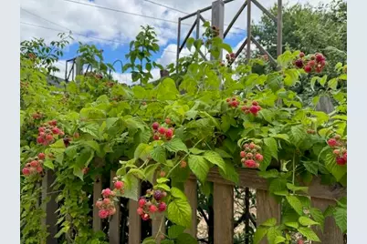 20457 Gardendale Street, Detroit, MI 48221 - Photo 51