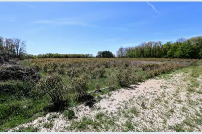 Vl Benny Ct (Private) #Parcel 4, Grand Junction, MI 49056 - Photo 5