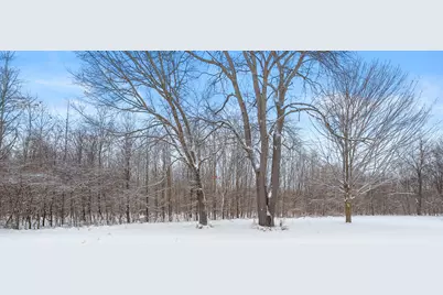 223 Leo Drive, Burlington, MI 49029 - Photo 37