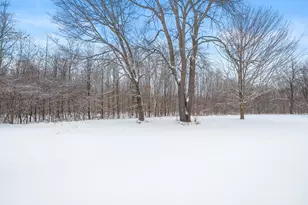 223 Leo Dr, Burlington, MI 49029 - Photo 37