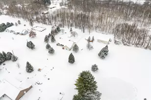 223 Leo Dr, Burlington, MI 49029 - Photo 45