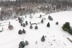 223 Leo Dr, Burlington, MI 49029 - Photo 45