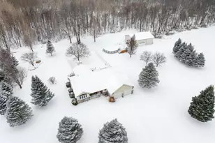 223 Leo Dr, Burlington, MI 49029 - Photo 35