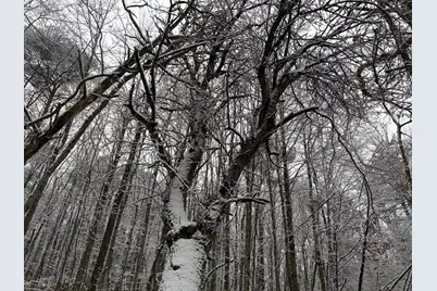 9194 Orion Trail, White Cloud, MI 49349 - Photo 33