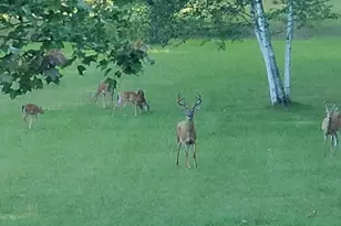 425 E Sternberg Rd, Norton Shores, MI 49441 - Photo 33