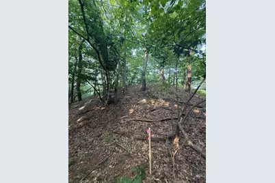 Lot G Hemlock Trail, Shelby, MI 49455 - Photo 3