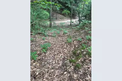Lot G Hemlock Trail, Shelby, MI 49455 - Photo 5
