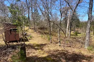 1278 W Pine Tree Rd, Baldwin, MI 49304 - Photo 29