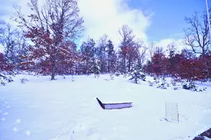 1278 W Pine Tree Rd, Baldwin, MI 49304 - Photo 25