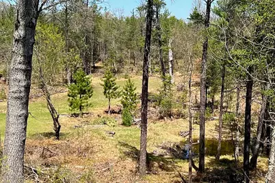 1278 W Pine Tree Road, Baldwin, MI 49304 - Photo 27