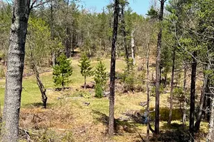 1278 W Pine Tree Rd, Baldwin, MI 49304 - Photo 27