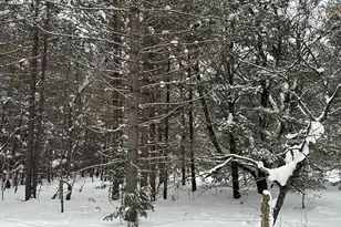 604 W Beaver Rd, Bitely, MI 49309 - Photo 97