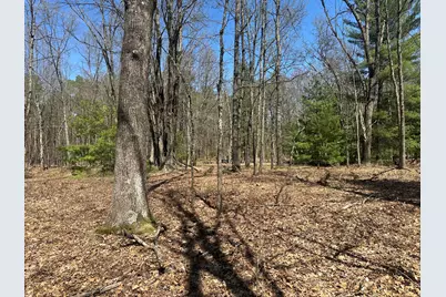 604 W Beaver Road, Bitely, MI 49309 - Photo 93