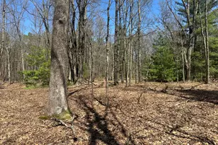 604 W Beaver Rd, Bitely, MI 49309 - Photo 93
