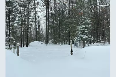 604 W Beaver Road, Bitely, MI 49309 - Photo 103