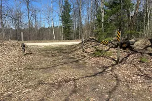 604 W Beaver Rd, Bitely, MI 49309 - Photo 99