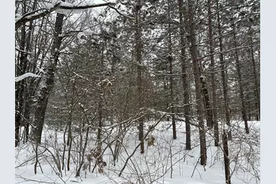 604 W Beaver Road, Bitely, MI 49309 - Photo 99