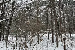 604 W Beaver Rd, Bitely, MI 49309 - Photo 99