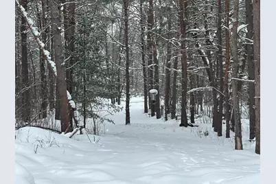 604 W Beaver Road, Bitely, MI 49309 - Photo 89