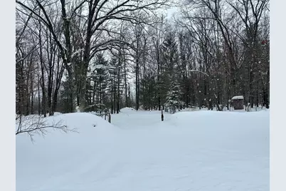 604 W Beaver Road, Bitely, MI 49309 - Photo 101