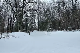 604 W Beaver Rd, Bitely, MI 49309 - Photo 101