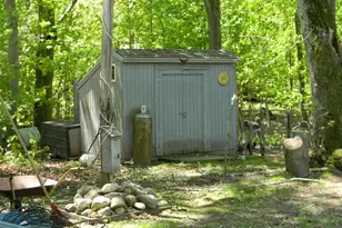 5525 N Comstock Ave, Hesperia, MI 49421 - Photo 5