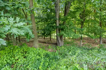 7670 Wood Violet Court SE, Ada, MI 49301 - Photo 3