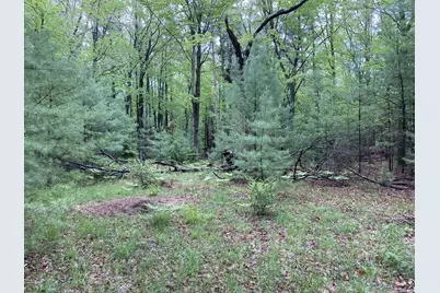 704 N Morris Street, Pentwater, MI 49449 - Photo 9