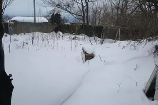 612 N Crystal Ave, Benton Harbor, MI 49022 - Photo 5