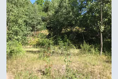 Lots 10&11 S Riverview Drive, Hesperia, MI 49421 - Photo 1