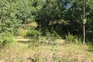 Lots 10&11 S Riverview Dr, Hesperia, MI 49421 - Photo 1