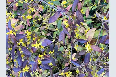 8949 Stadium Drive, Kalamazoo, MI 49009 - Photo 55