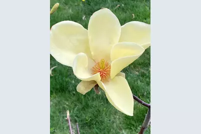 8949 Stadium Drive, Kalamazoo, MI 49009 - Photo 57