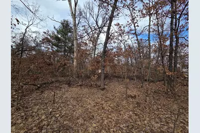 V/L W Mead Street, Baldwin, MI 49304 - Photo 1