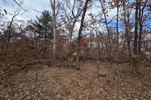 V/L W Mead St, Baldwin, MI 49304 - Photo 1