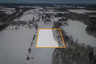 V/L W Johnson Rd, Shelby, MI 49455 - Photo 1