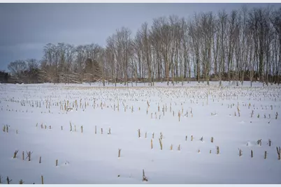 V/L W Johnson Road, Shelby, MI 49455 - Photo 15