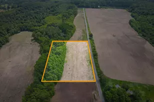 V/L W Johnson Rd, Shelby, MI 49455 - Photo 1