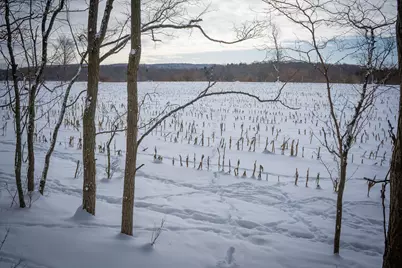 V/L W Johnson Road, Shelby, MI 49455 - Photo 17