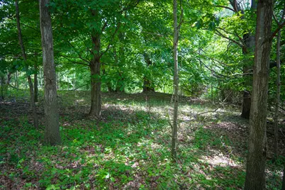 V/L W Johnson Road, Shelby, MI 49455 - Photo 11