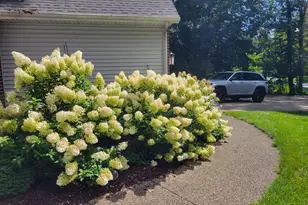 11410 Windsor Dr NE, Sparta, MI 49345 - Photo 51