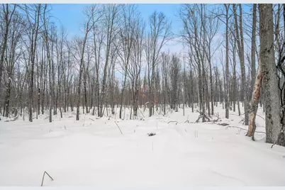 5561 E 68th Street, Chase, MI 49623 - Photo 11