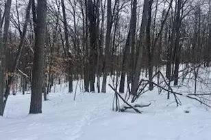 9980 Red Deer Ct, Canadian Lakes, MI 49346 - Photo 1