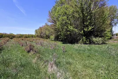 59070 Benny Ct #Parcel 6, Grand Junction, MI 49056 - Photo 13